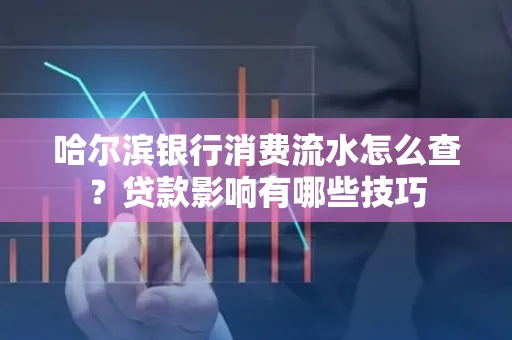 哈尔滨银行消费流水怎么查?贷款影响有哪些技巧